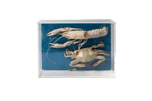 Image description is not available for 2011.35.1